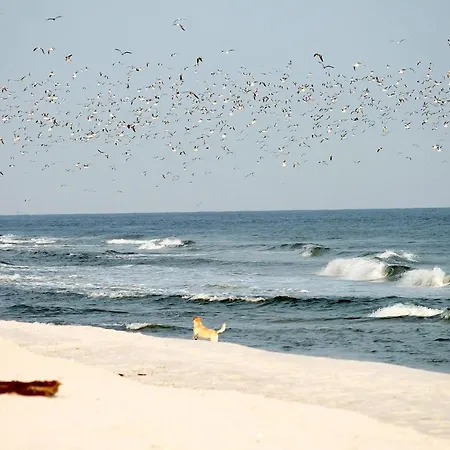 White Pearl 2.06 דירה טימנדורפר שטרנד