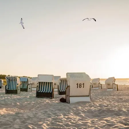 Apartment White Pearl 2.06