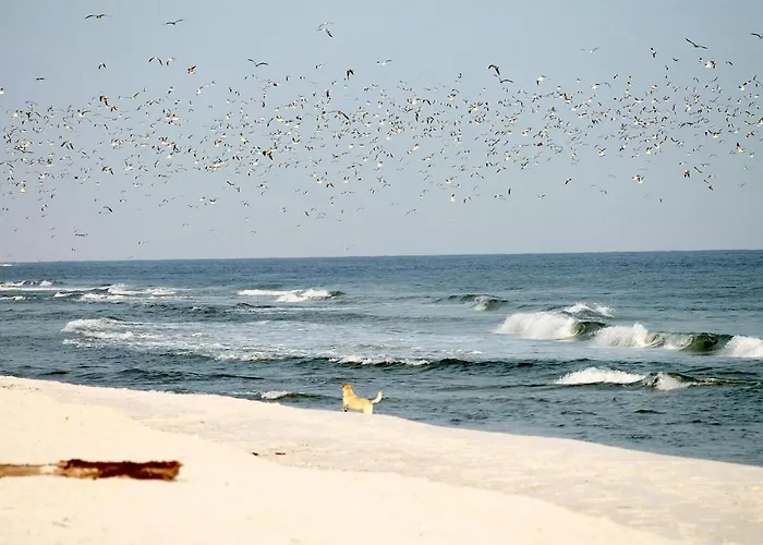 White Pearl 2.06 Appartement Timmendorfer Strand