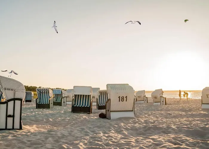 Apartment White Pearl 2.06